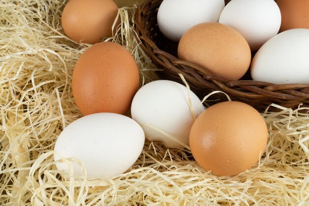 Photo vue rapprochée des œufs dans le nid