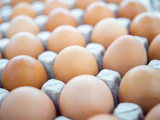 Vue rapprochée des œufs de poule crus dans une boîte à œufs