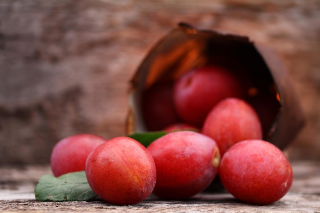 Vue rapprochée des olives rouges mûres