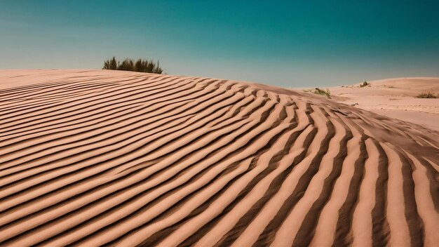 Photo vue rapprochée des ondulations de sable et des traces sur les dunes de sable dans un désert contre un ciel bleu clair