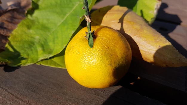 Photo vue rapprochée d'une orange sur la table