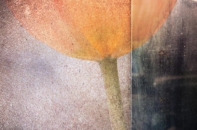 Vue rapprochée de la peinture murale des tulipes sur le mur