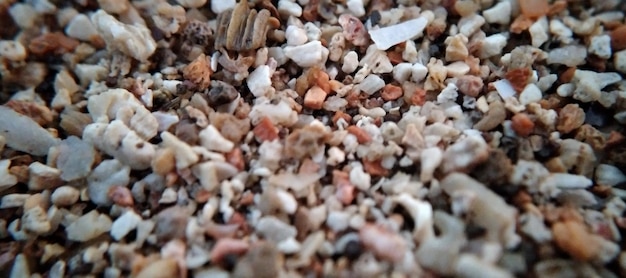 Vue rapprochée d'un petit tas de sable sur une plage