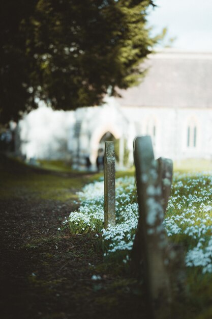 Photo vue rapprochée d'une pierre dans un cimetière