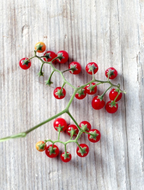 Photo vue rapprochée des piments rouges sur bois