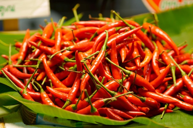 Photo vue rapprochée des piments rouges