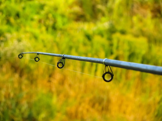 Photo vue rapprochée des pinces à linge accrochées à la corde à linge