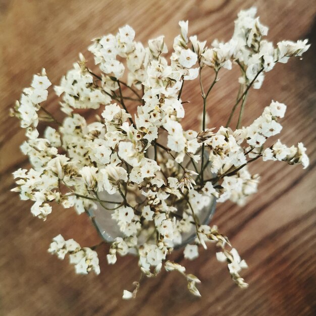 Vue rapprochée d'une plante à fleurs blanches sur une table en bois