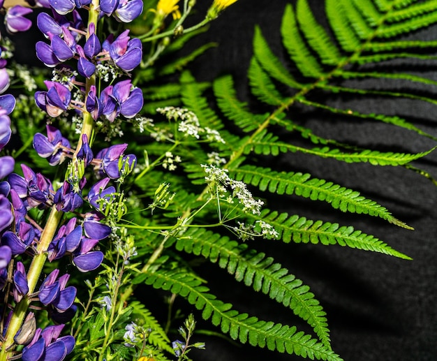 Photo vue rapprochée d'une plante à fleurs violettes