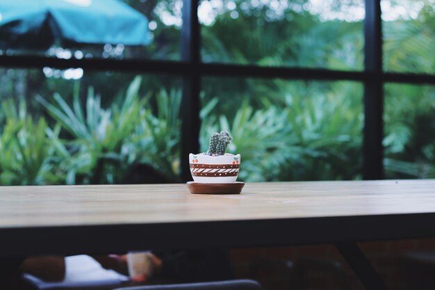 Photo vue rapprochée d'une plante en pot sur une table dans un café