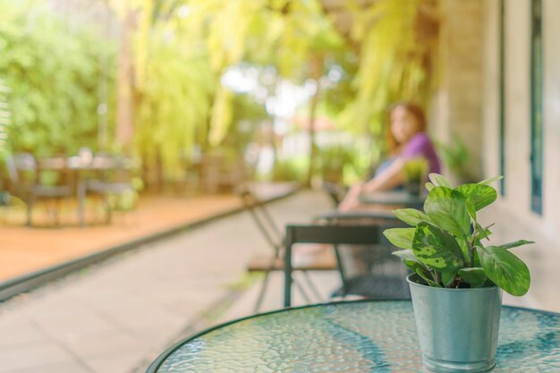 Photo vue rapprochée d'une plante en pot sur la table