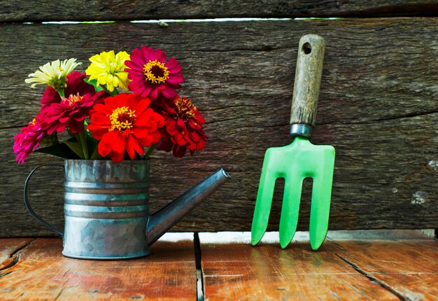 Vue rapprochée d'une plante en pot sur la table