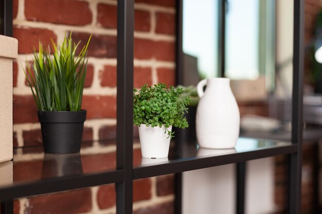 Photo vue rapprochée d'une plante en pot sur la table