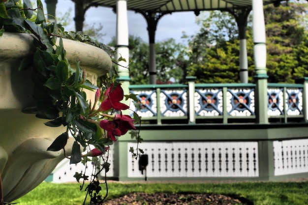 Photo vue rapprochée des plantes à fleurs dans le parc avec un stand de musique en arrière-plan