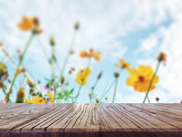 Vue rapprochée des plantes à fleurs jaunes sur la table contre le ciel