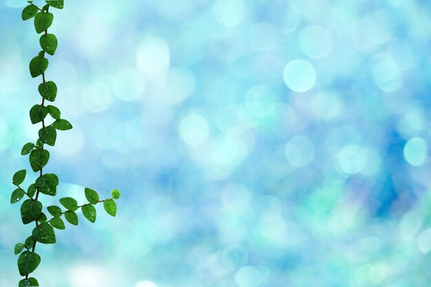 Photo vue rapprochée des plantes sur un fond flou