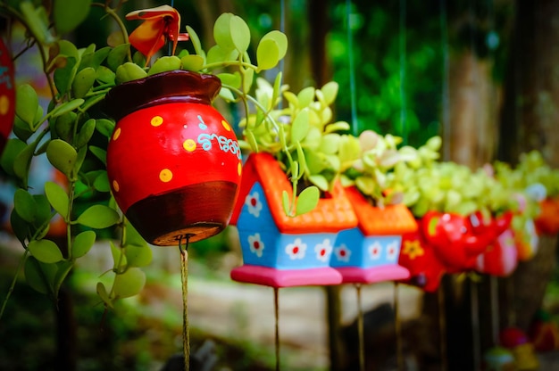 Photo vue rapprochée de plantes multicolores dans des pots de fleurs accrochés à la vente