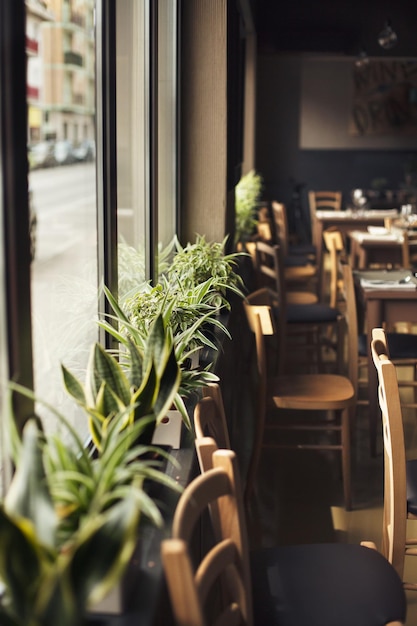 Vue rapprochée des plantes en pot sur le seuil de la fenêtre