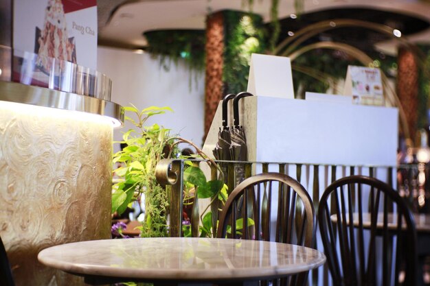 Photo vue rapprochée des plantes en pot sur la table à la maison