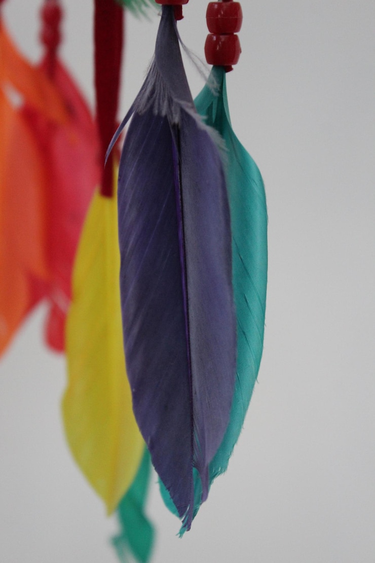 Photo vue rapprochée des plumes multicolores sur fond blanc