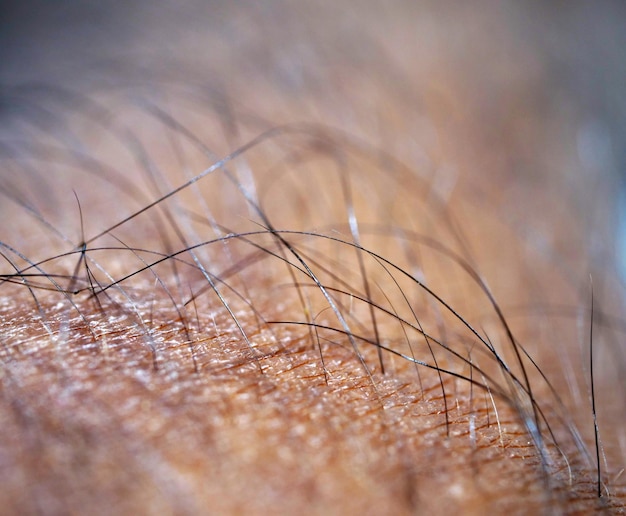 Photo vue rapprochée des poils sur la peau