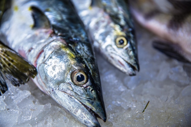 Vue rapprochée des poissons à vendre