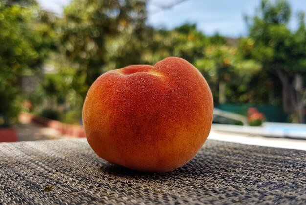 Photo vue rapprochée d'une pomme sur un arbre