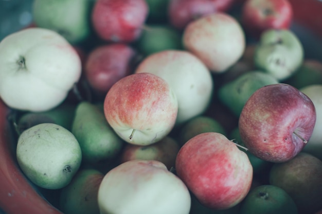 Vue rapprochée des pommes dans le bol