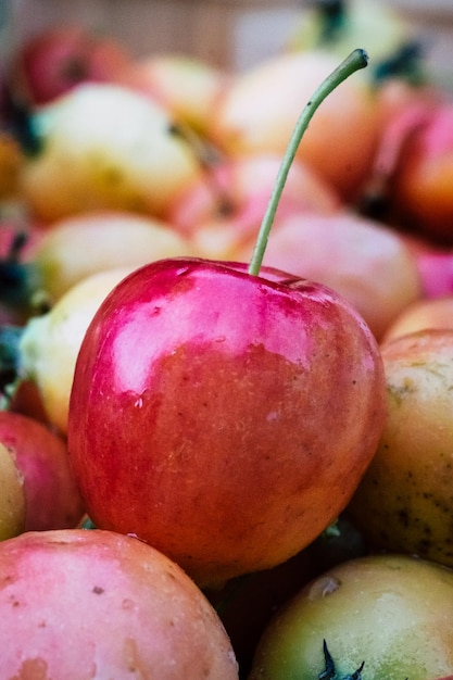 Photo vue rapprochée des pommes sur le marché