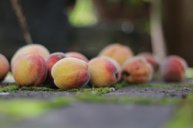 Photo vue rapprochée des pommes sur la table