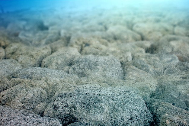 Photo vue rapprochée des récifs coralliens sous-marins avec de l'eau bleue