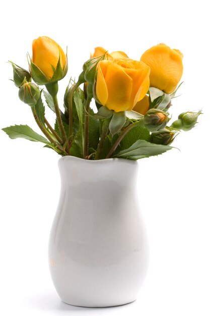 Photo vue rapprochée d'une rose blanche dans un vase