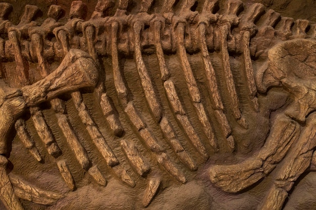 Vue rapprochée d'une sculpture d'animaux