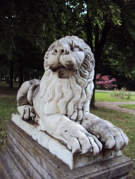 Photo vue rapprochée de la statue dans le parc