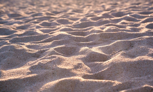 Vue rapprochée de la surface de sable jaune propre couvrant la plage côtière éclairée par la lumière du soir Concept de voyage et de vacances