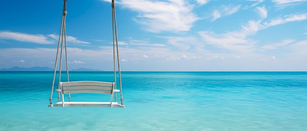 Vue rapprochée d'un swing sur une plage tropicale exotique avec vue sur l'océan et le littoral
