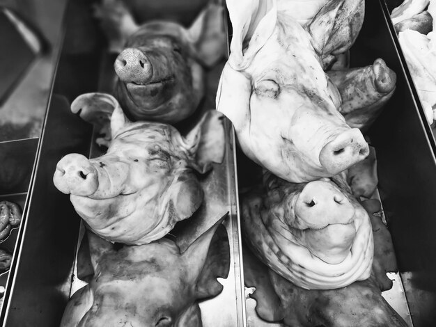 Photo vue rapprochée de la tête de porc sur le marché