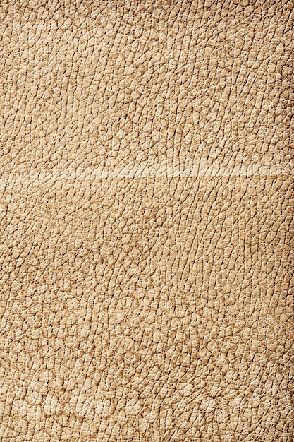 Vue rapprochée sur la texture du cuir marron