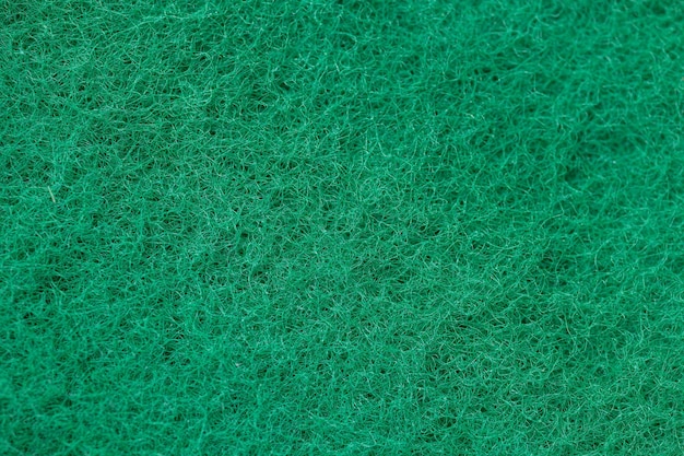 Vue rapprochée de la texture éponge verte