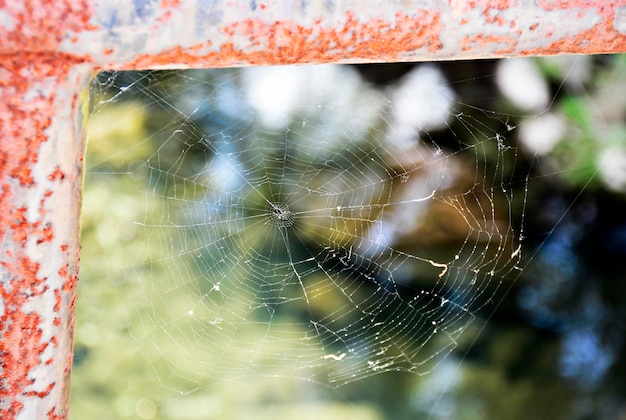 Vue rapprochée d'une toile d'araignée sur un tuyau rouillé