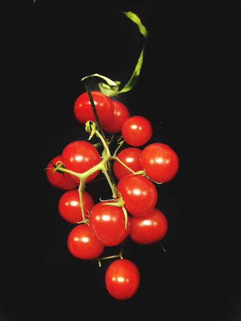 Photo vue rapprochée des tomates cerises sur fond noir