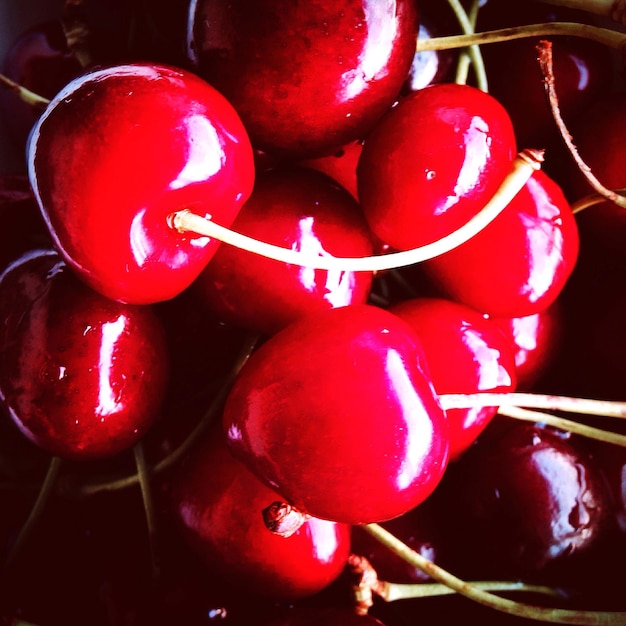 Photo vue rapprochée des tomates