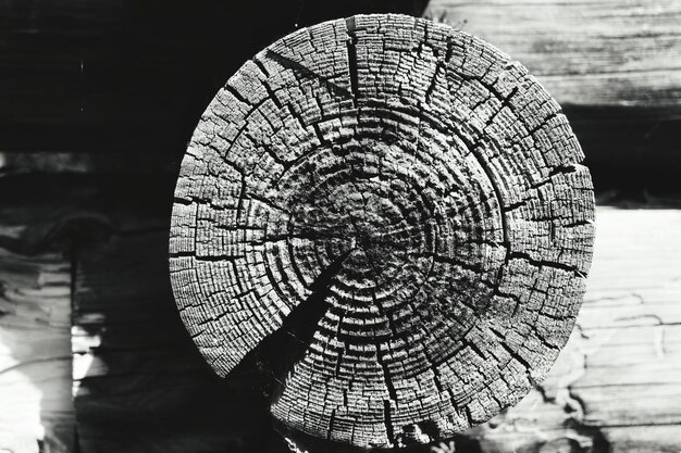 Photo vue rapprochée d'un tronc de bois