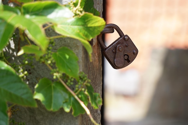 Photo vue rapprochée de l'usine par un cadenas rouillé sur la porte