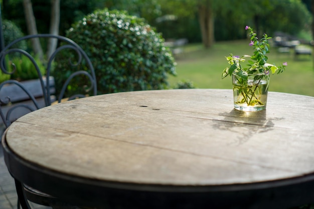 Vue rapprochée de l'usine sur la table