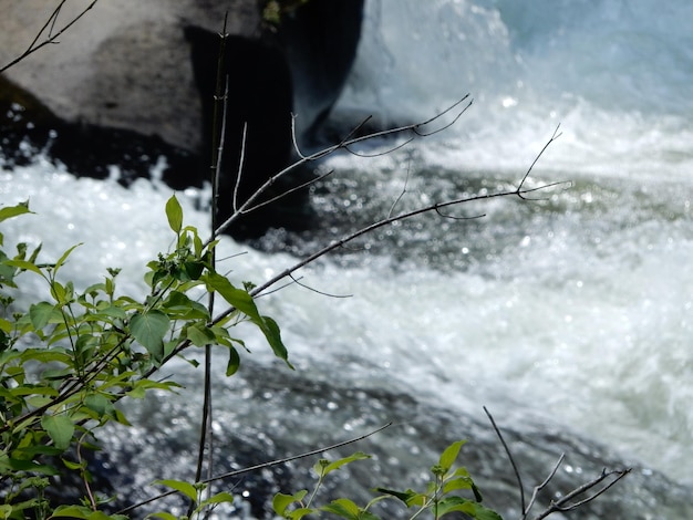 Photo vue rapprochée des usines