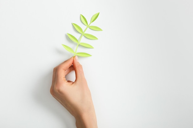 Vue recadrée d'une femme mettant une plante de papier vert avec des feuilles sur fond gris