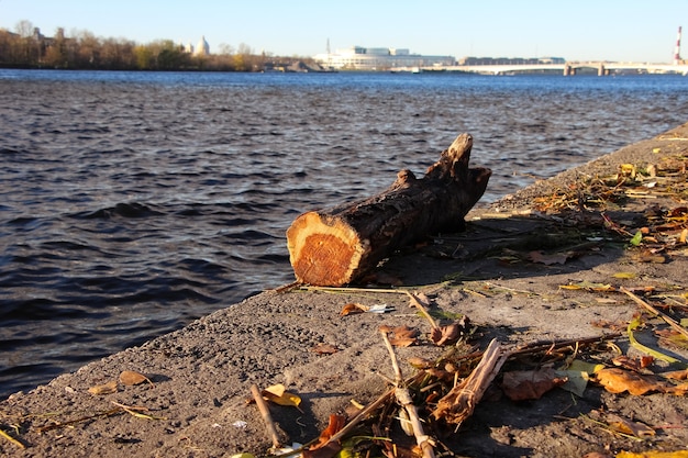 vue sur le remblai avec des feuilles jaunes jetées par la vague la rivière un gros plan de journal