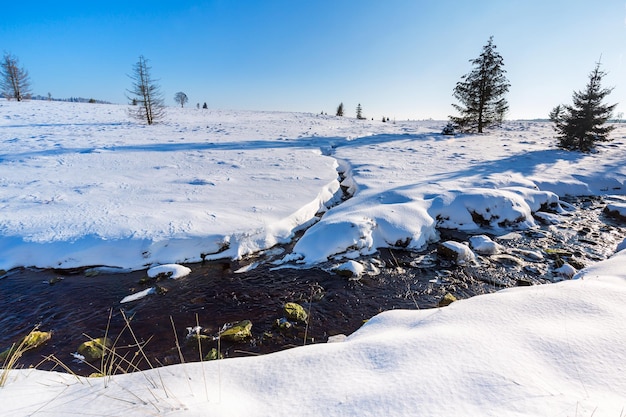 Une vue sur la rivière Hoegne dans les hautes Fagnes en hiver. Pris à l'extérieur avec une marque 5D III.