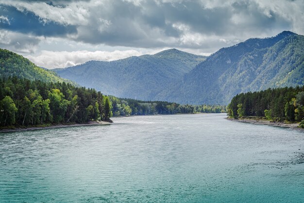 Vue sur la rivière Katun depuis le pont d'observation